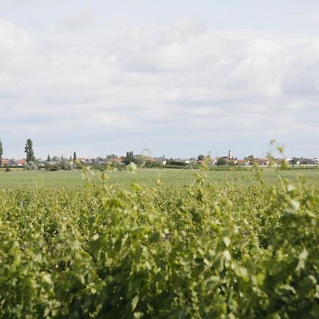 Pension & Weingut Storchenblick Illmitz Esterno foto